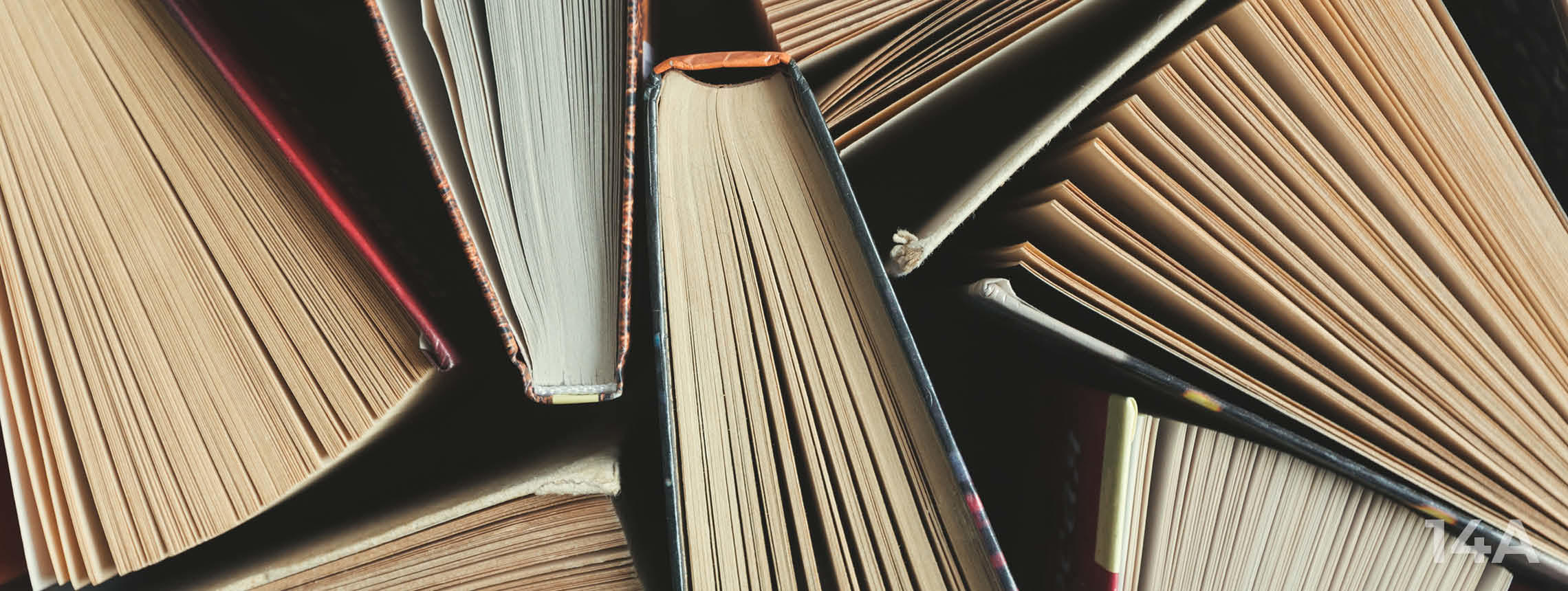 Leben mit ITP: Das Teaser-Bild zeigt Bücher