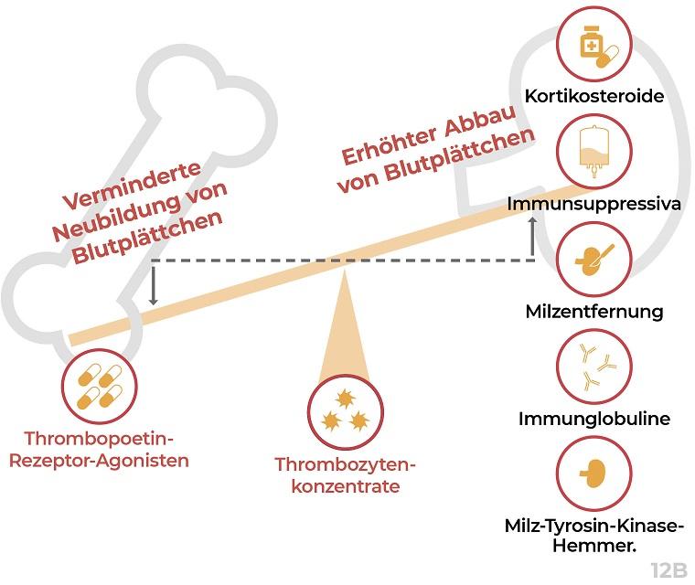 Leben mit ITP: Grafik zum Blutplättchenabbau
